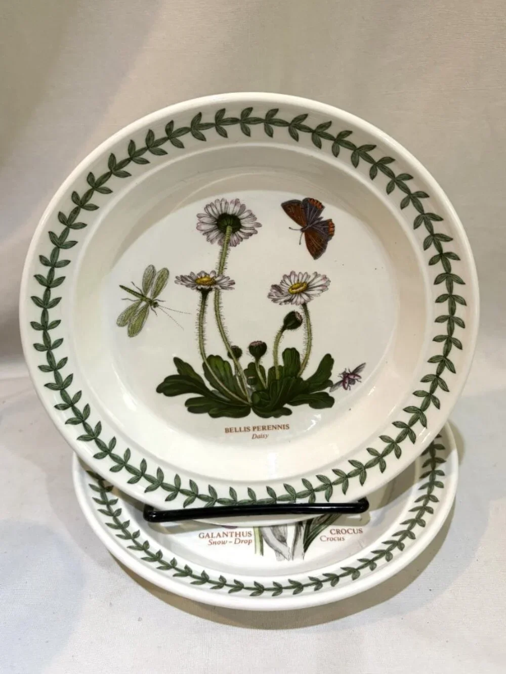 Set of 2 Portmeirion Botanic Garden 7.25